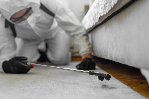 Professional Ant Control technician working in Flagler Beach, FL